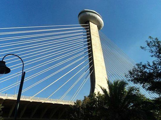 Ponte Estaiada