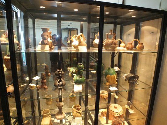 Museu Dinâmico Interdisciplinar