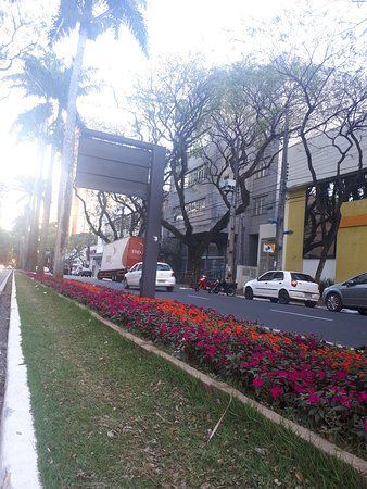 Parque Florestal dos Pioneiros