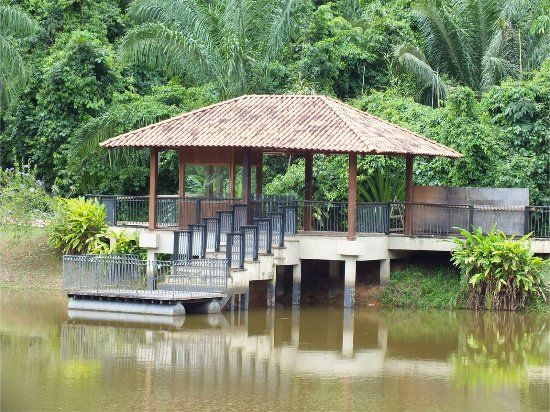 Horto Florestal