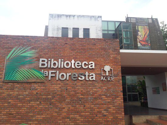 Biblioteca Da Floresta