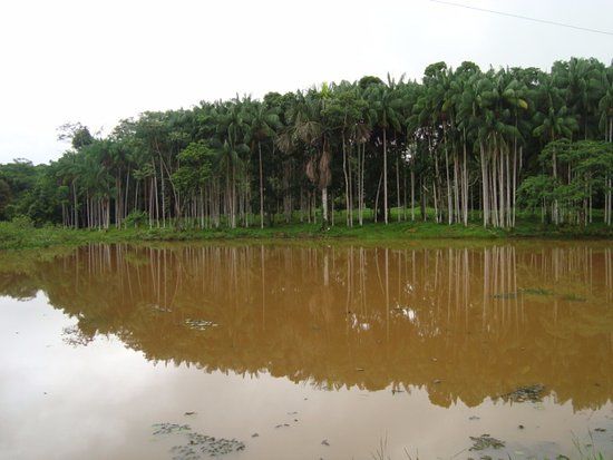 Parque Zoobotânico