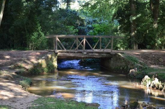 Horto Florestal