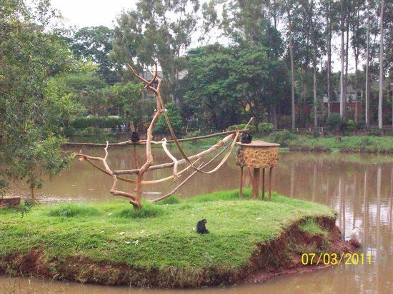 Zoo Americana