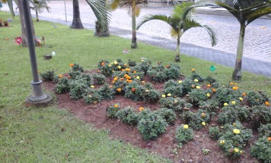 Praça Erwin Zastrow