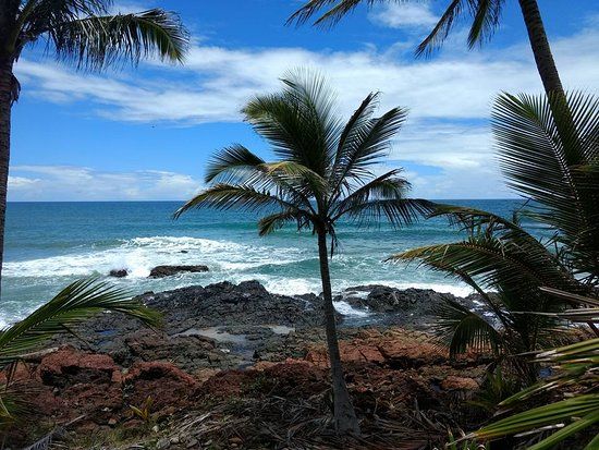 Trilha das Quatro Praias