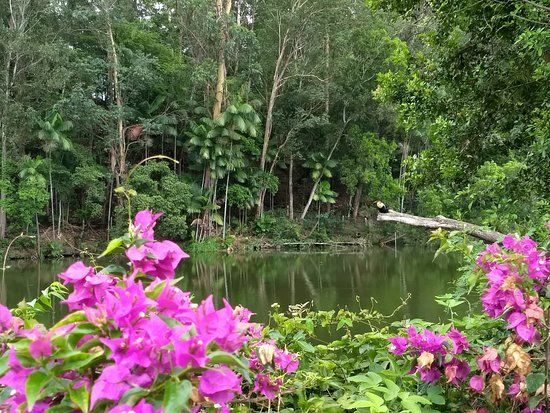 Parque Botânico Vale