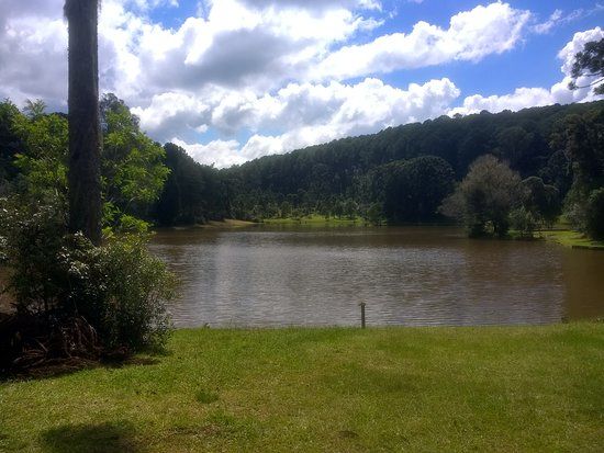 Floresta Nacional de Canela