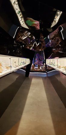 Geo Museu