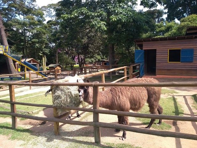 Mini Farm Pet Zoo