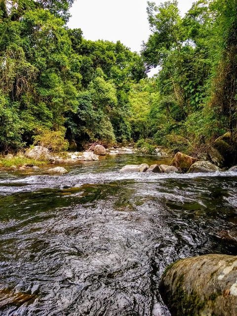 Parque Estadual Serra do Mar, Núcleo Picinguaba