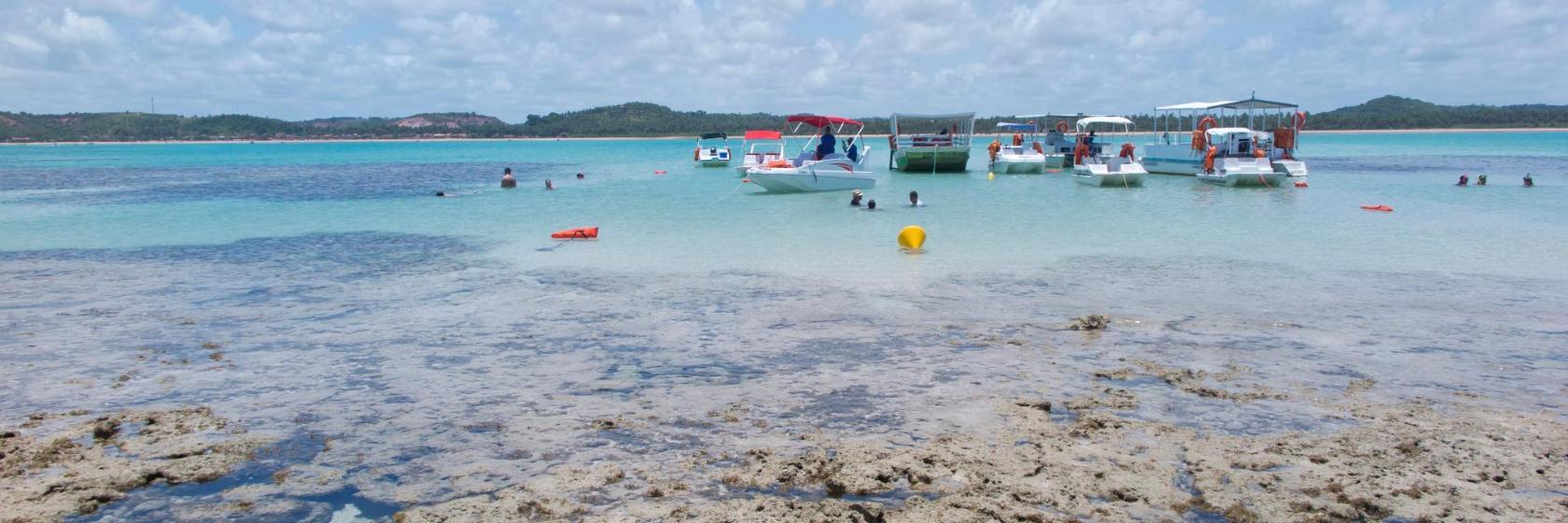 Galés de Maragogi