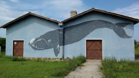 Museu da Baleia de Imbituba