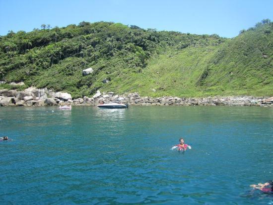 Ilha do Arvoredo