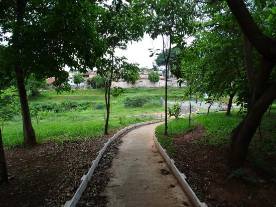 Bosque do Parque União